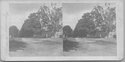 SA0359 - View of a road, trees, and a few buildings. Identified on the back., Winterthur Shaker Photograph and Post Card Collection 1851 to 1921c